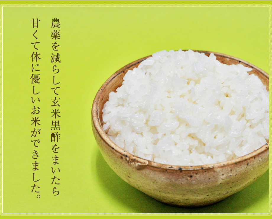農薬を減らして玄米黒酢をまいたら 甘くて体に優しいお米ができました。